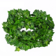 ADESORAES 12 Strands Artificial Ivy Leaf Plants Vine Hanging Garland Fake Foliage Flowers Home Kitchen Garden Office Wedding Wall Decor 2.2M
